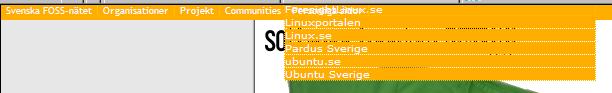 foss.JPG
