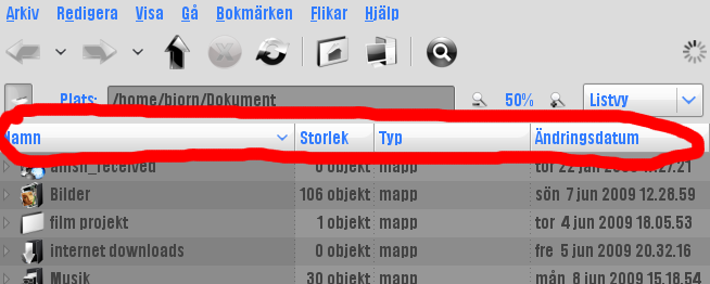 en bild på en rad som jag inte vet vad den heter?????????