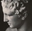 adonis.jpg