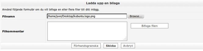 bifoga.jpeg