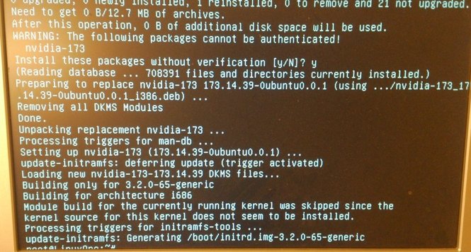 Output vid installation av nvidia-173