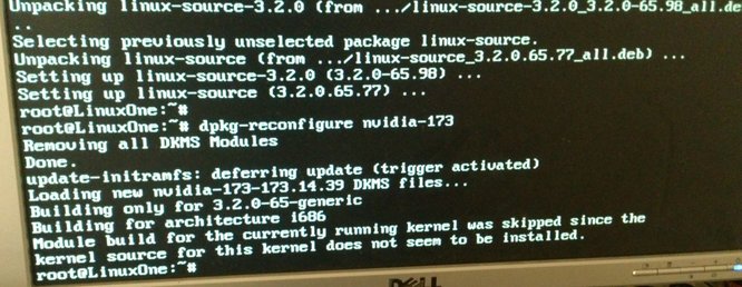 Output från dpkg-reconfigure nvidia-173
